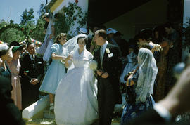 [Casamento Princesa Maria Pia. 1º. Cascaes. Fevereiro 1955.]