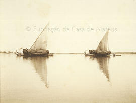 Barcos a fazerem a travessia do Tejo, em Salvaterra de Magos.
