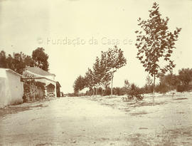 Quinta da Sardinha, Salvaterra de Magos: estrada fronteira à Casa.