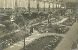 Exposição de rosas no Palacio de Crystal. Porto, 15 de Maio de 1920.