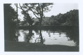 [Jardim]