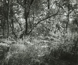 [s.t.]