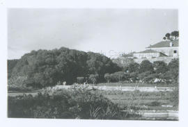 [Jardim]