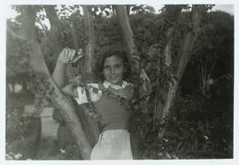 M. João/ Mateus 1950