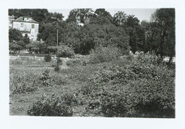 [Jardim]